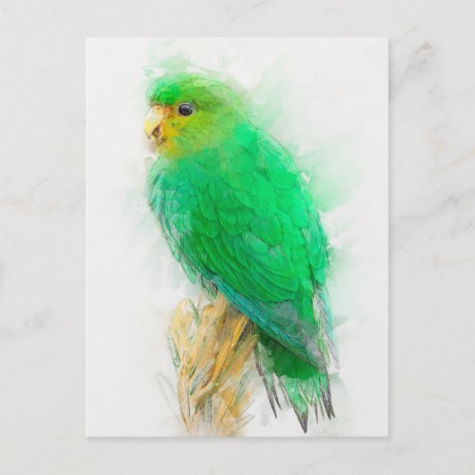 Parakeet-Portrait Postkarte (Vorderseite)