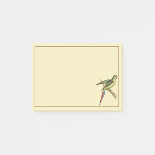 Parakeet Post-it Klebezettel (Vorderseite)