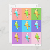 Parakeet-Regenbogenrechtecke Postkarte (Vorne/Hinten)
