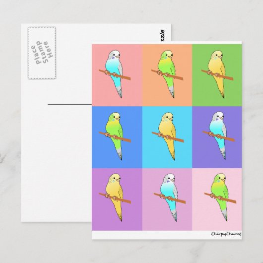 Parakeet-Regenbogenrechtecke Postkarte (Vorne/Hinten)