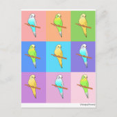 Parakeet-Regenbogenrechtecke Postkarte (Vorderseite)