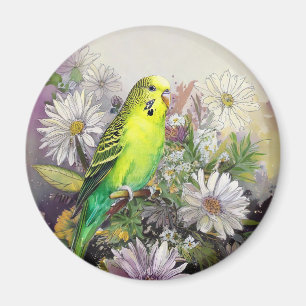 Parakeet und Daisies Magnet