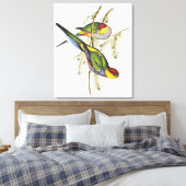 Parakeet - Vintage Vogelkunst Leinwanddruck (Insitu (Schlafzimmer))