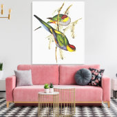 Parakeet - Vintage Vogelkunst Leinwanddruck (Insitu (Wohnzimmer))