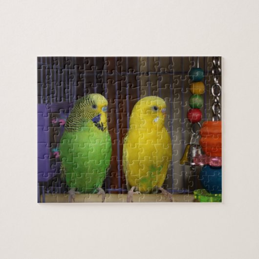 Parakeet-Vogel-Puzzlespiel Puzzle (Horizontal)