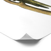 Parakeet von John Audubon - Poster Print (Ecke)