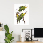 Parakeet von John Audubon - Poster Print (Heimbüro)