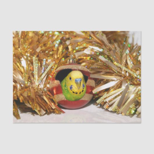 Parakeet-Weihnachten Seidenpapier (Vorderseite)