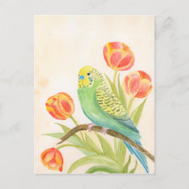 Parakeet with Tulips  Postkarte