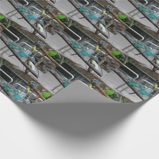 Parakeet Wrapping Paper Geschenkpapier (Ecke)