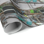 Parakeet Wrapping Paper Geschenkpapier (Rolleneckpunkt)