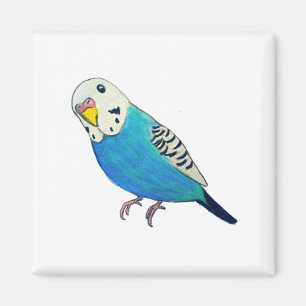 Parakeet-Zeichnen Magnet