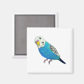 Parakeet Zeichnend Magnet (Vorderseite/Rückseite)