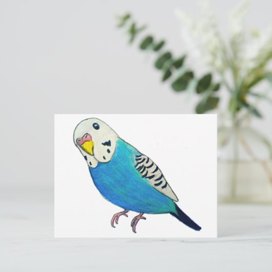 Parakeet Zeichnend Postkarte (Stehend Vorderseite)
