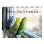 Parakeetkalender Kalender (Titelbild)