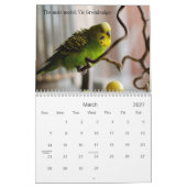 Parakeetkalender Kalender (Mär 2027)