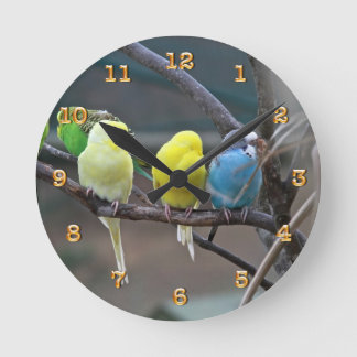 Parakeets Budgies plappert | Vogel-Foto-Natur nach Runde Wanduhr