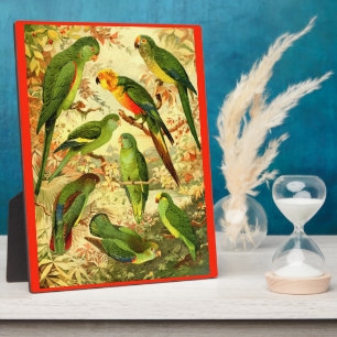 Parakeets Fotoplatte