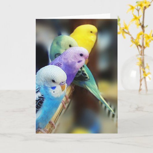 Parakeets Karte (Gelbe Blume)