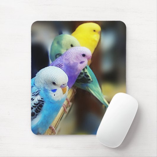 Parakeets mousepad (Mit Mouse)