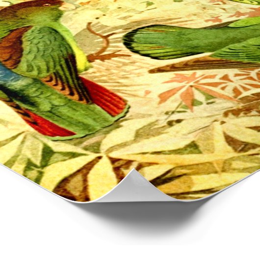 Parakeets Poster (Ecke)