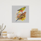 Parakeets Poster (Küche)