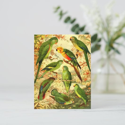 Parakeets Postkarte (Stehend Vorderseite)