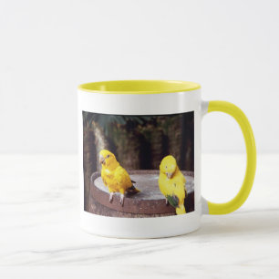 Parakeets-Tasse Tasse