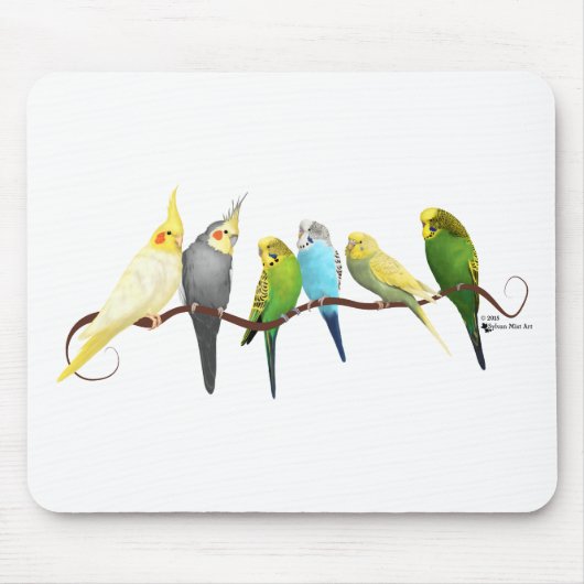 Parakeets u. Cockatiels! Mousepad (Vorne)