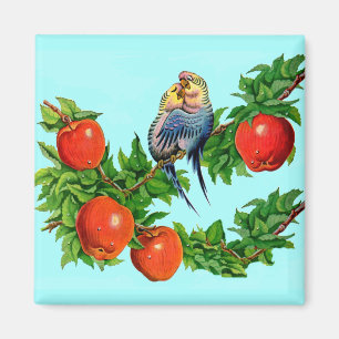 Parakete in Liebe Magnet