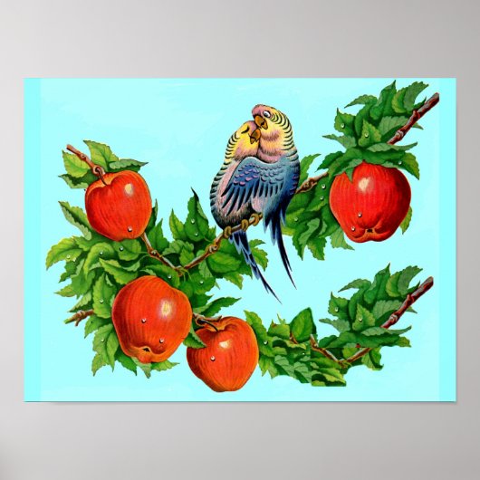 Parakete in Liebe Poster (Vorne)