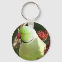 Parakete mit Rose
