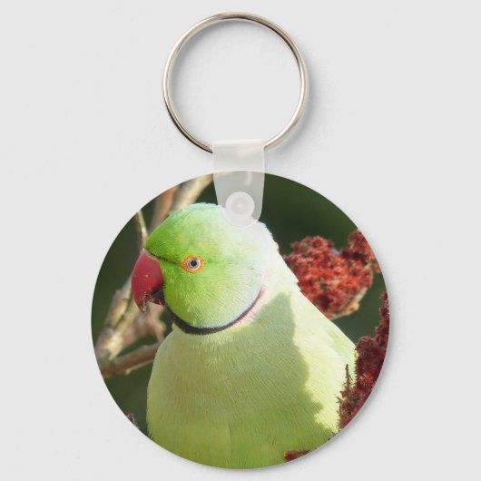 Parakete mit Rose Schlüsselanhänger (Vorderseite)