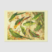 Parakets, dekoupage seidenpapier (Vorderseite)