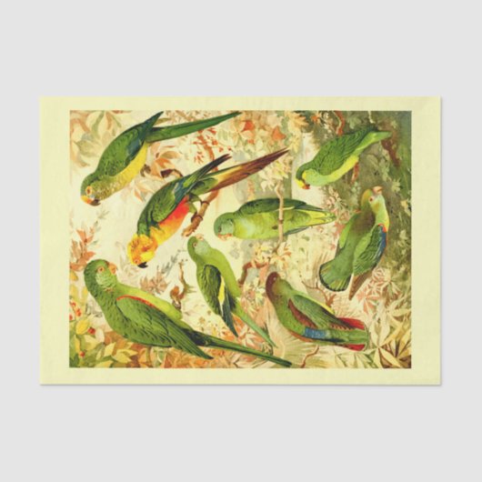 Parakets, dekoupage seidenpapier (Vorderseite)