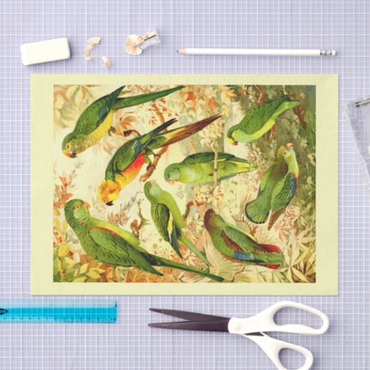 Parakets, dekoupage seidenpapier (Handwerk)