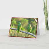 Parakets-Faltkarte Dankeskarte (Vorderseite)