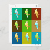 Parakets in erdgetönten Plätzen Postkarte (Vorne/Hinten)