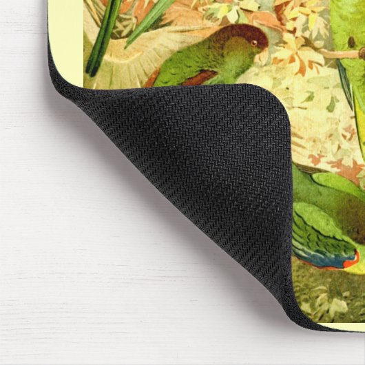 Parakets, Mousepad (Ecke)