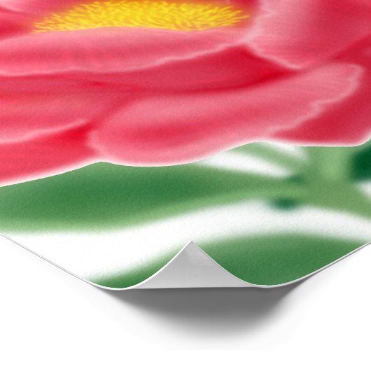 Parakets und Peonies Poster (Ecke)