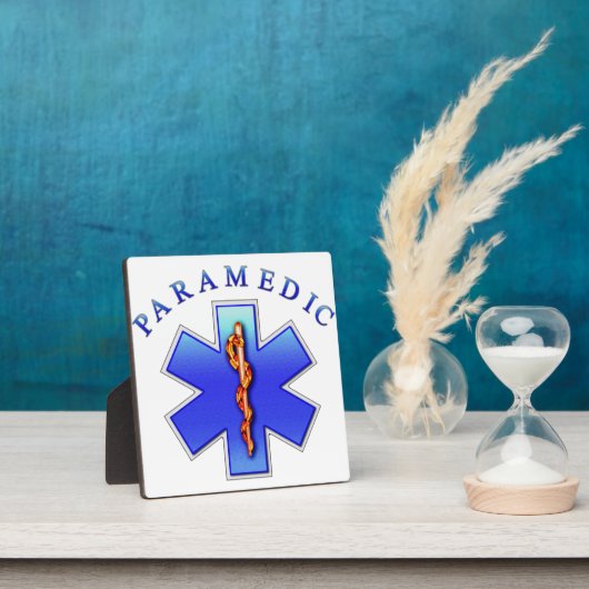 paramädisch fotoplatte (InSitu)