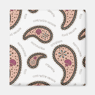 Paramecia Paisley Personalizable Biologie Weiß Magnet