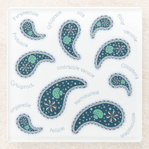 Paramecia Paisley Protozoan Biologie Wissenschaft Glasuntersetzer