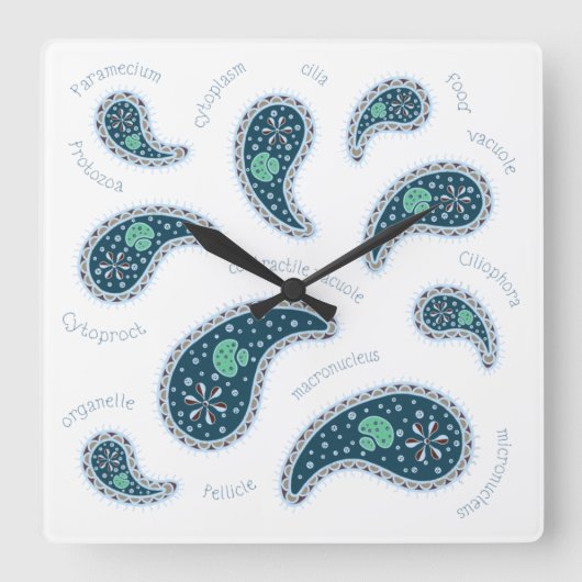 Paramecia Paisley Protozoan Biology Science Light Quadratische Wanduhr (Vorderseite)