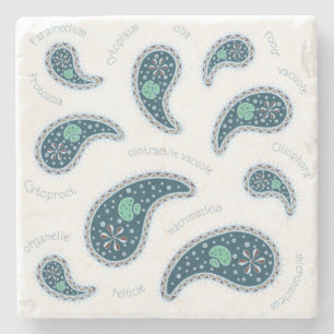 Paramecia Paisley Protozoan Biology Science Steinuntersetzer