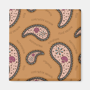Paramecien Paisley Personalisierbarer Biologie-Lat Magnet