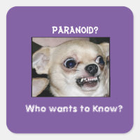 Paranoid Chihuahua bleibt an der Barking Angst fes