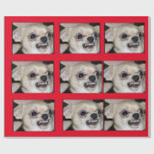 Paranoide Chihuahua verpacken Ihre hohe Angst Geschenkpapier (Flach)