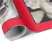Paranoide Chihuahua verpacken Ihre hohe Angst Geschenkpapier (Rolleneckpunkt)