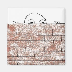 Paranoider Ziegelstein - Magnet